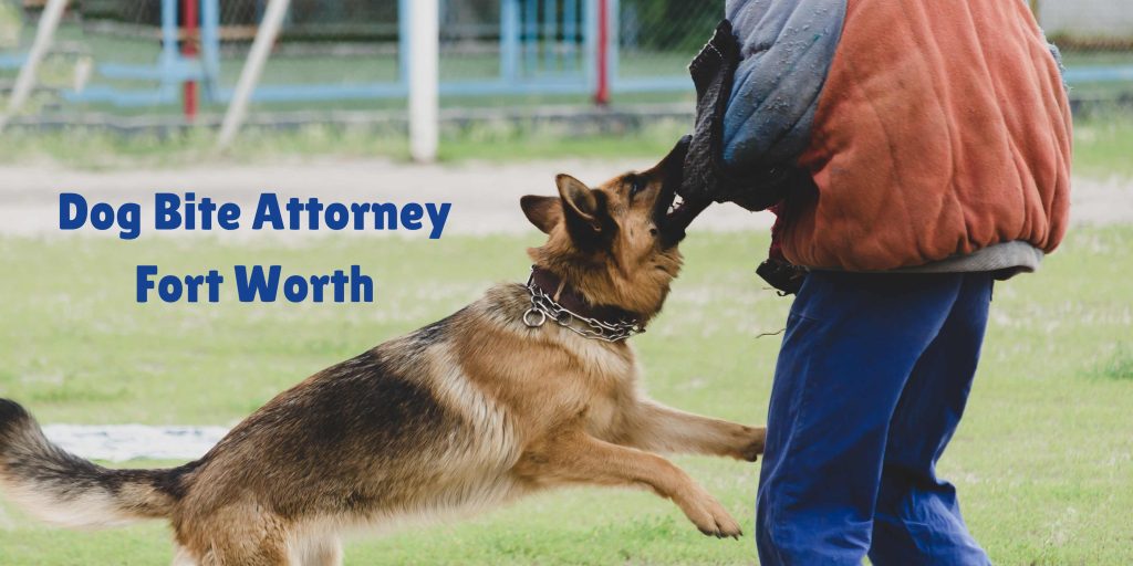 Dog Bite Attorney Fort Worth
