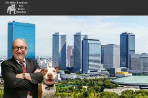 Miller Law Firm