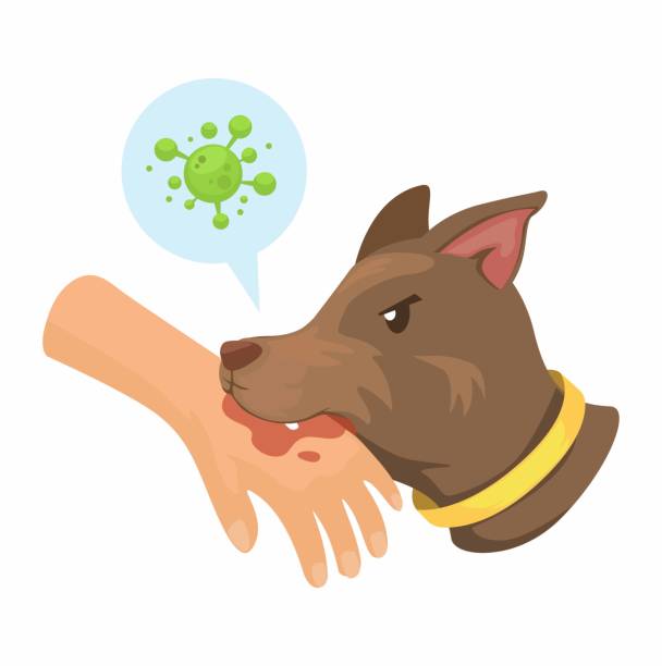 Dog Bite